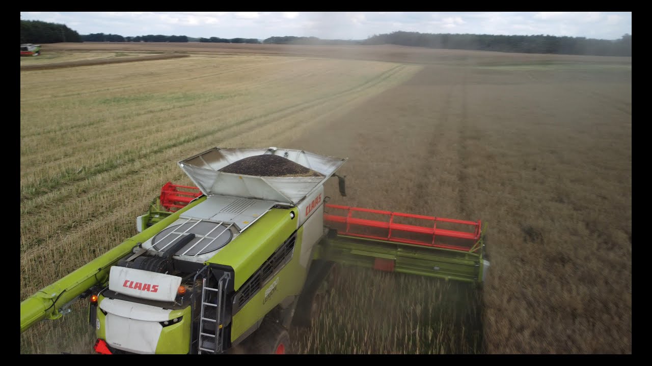 Pokaz Lexion 8800 TT podczas pracy u klienta