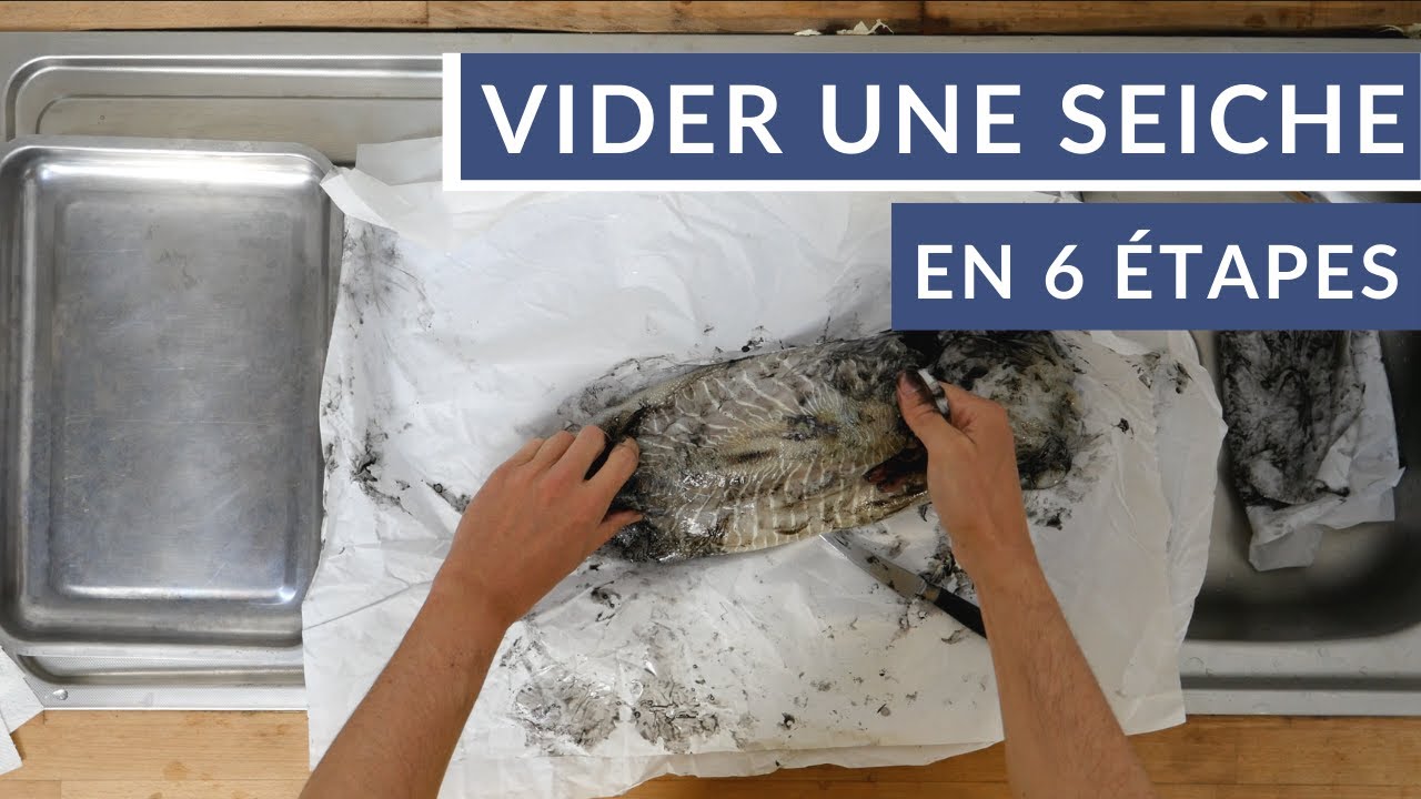 Comment vider une seiche en 6 étapes ?