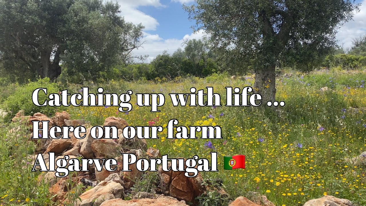 Catching up with life ….here on our farm in the Algarve Portugal 🇵🇹