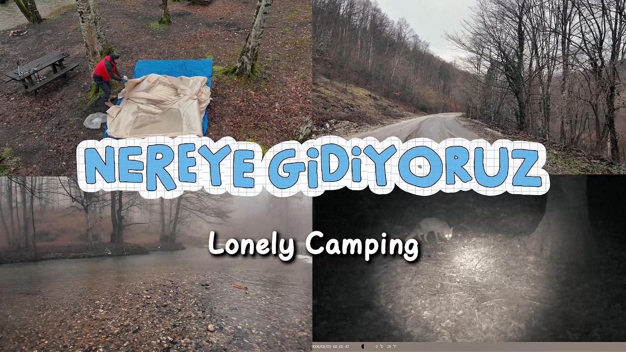 Lonely Camp , Solo Camping | A Silent Escape into Nature