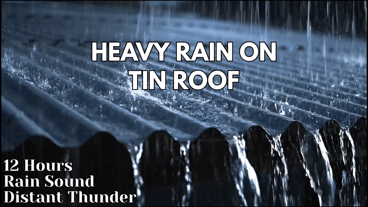 NO ADS Fall Asleep Faster with Heavy Rain on a Tin Roof | Sleep Aid • Study • Relax #SleepAid #Rain
