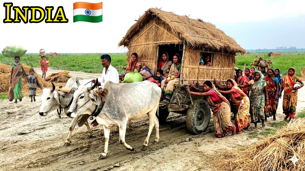This is the real India You won't believe this is India This is the life of Indians 2026 #indiaLife
