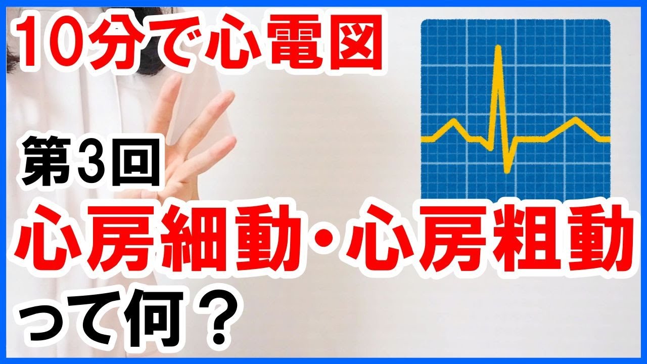 【10分で心電図】心房細動、心房粗動って何？ #3