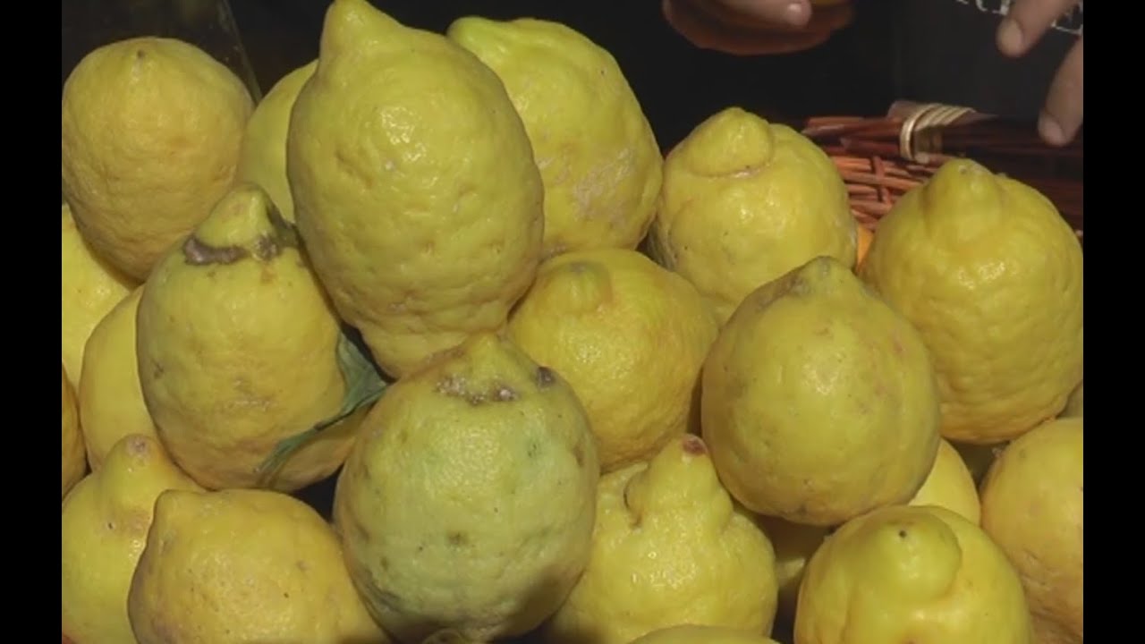 Napoli - La regina dell'estate napoletana è la limonata (13.08.14)
