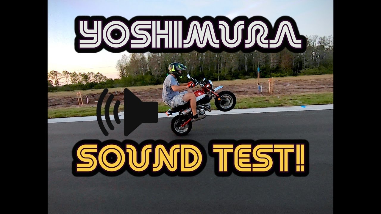 2019 Honda Monkey ULTIMATE Yoshimura Sound Test!