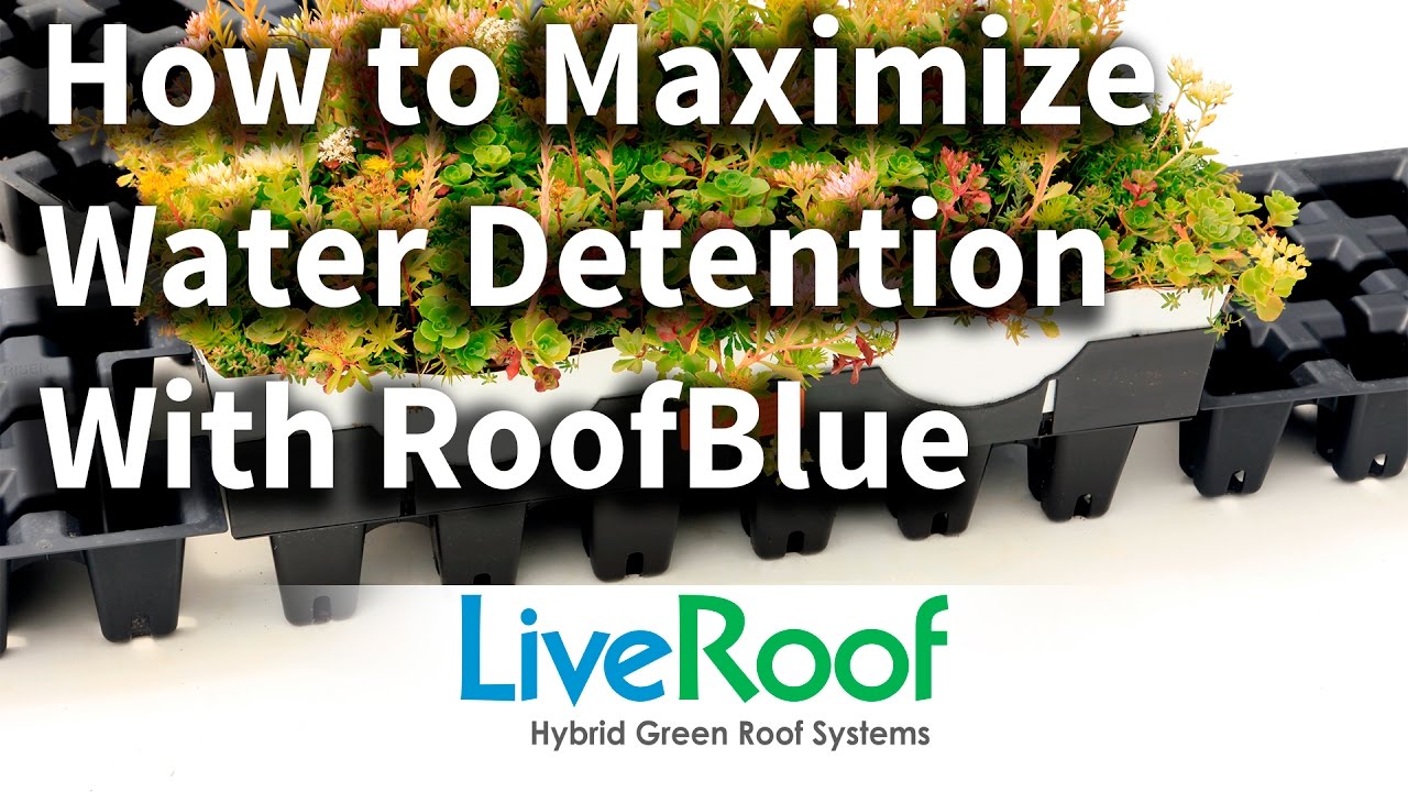 Blue Roofs combined with Green Roofs as Tools for Low Impact Stormwater Management