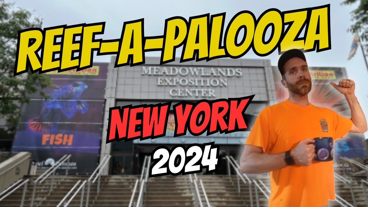 Discovering Reef-A-Palooza New York in 2024: A behind-the-scenes look