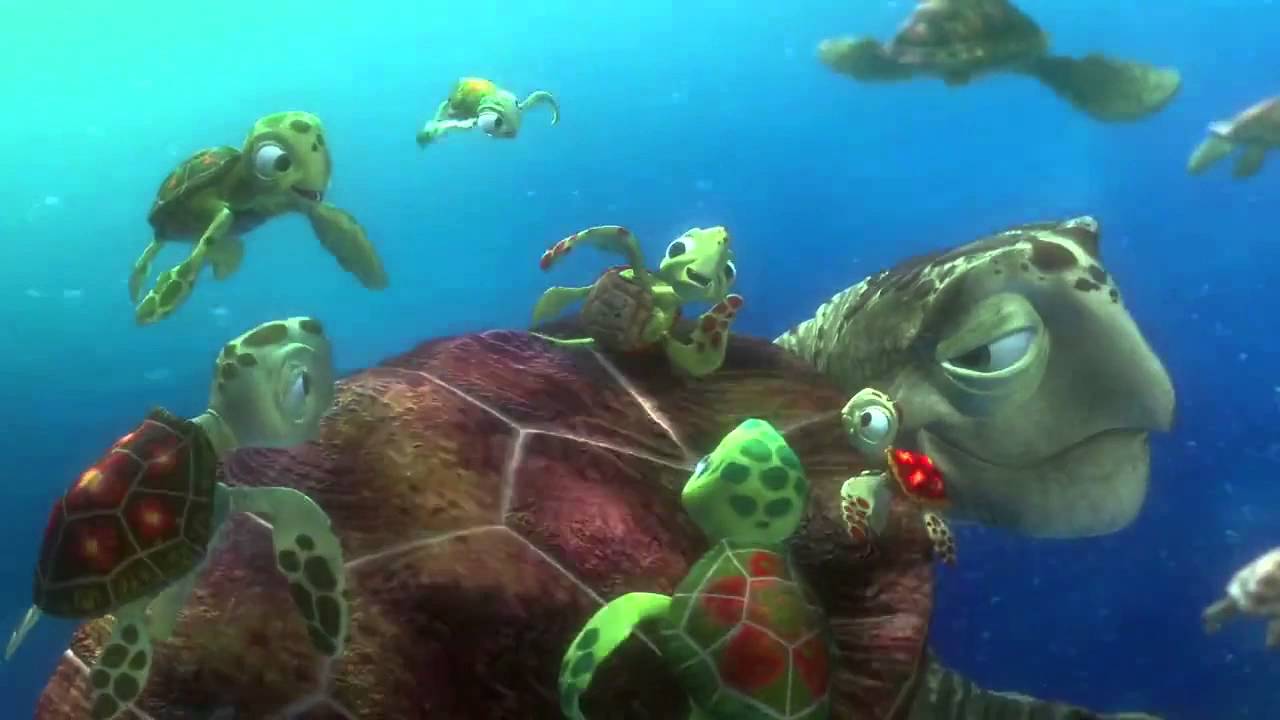 Finding Nemo- Turtle Scene
