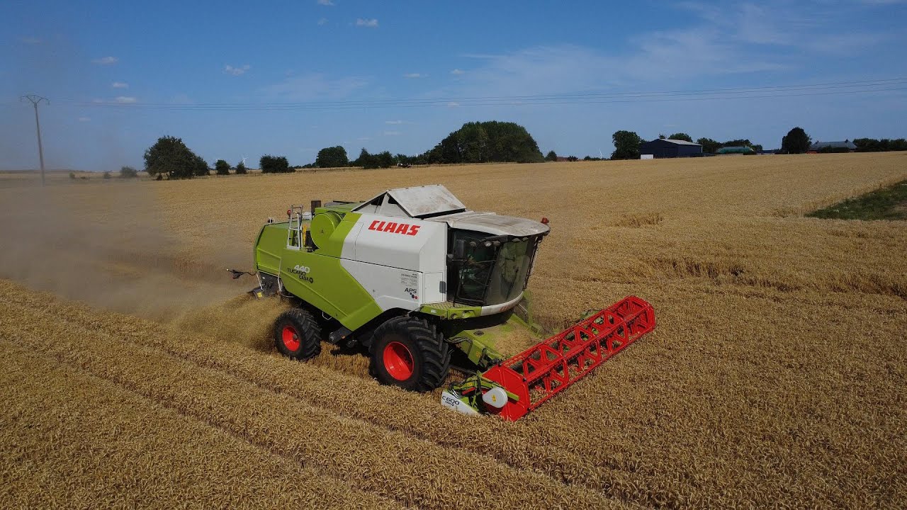 MOISSON 2023 AVEC UNE CLAAS TUCANO 440