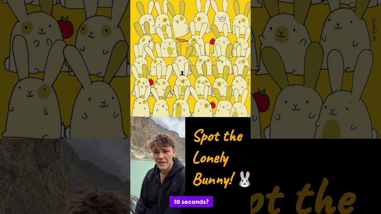 can you find the Bunny? #greenscreen #braintrippin #opticalillusion #duet #opticalphenomenon #funny