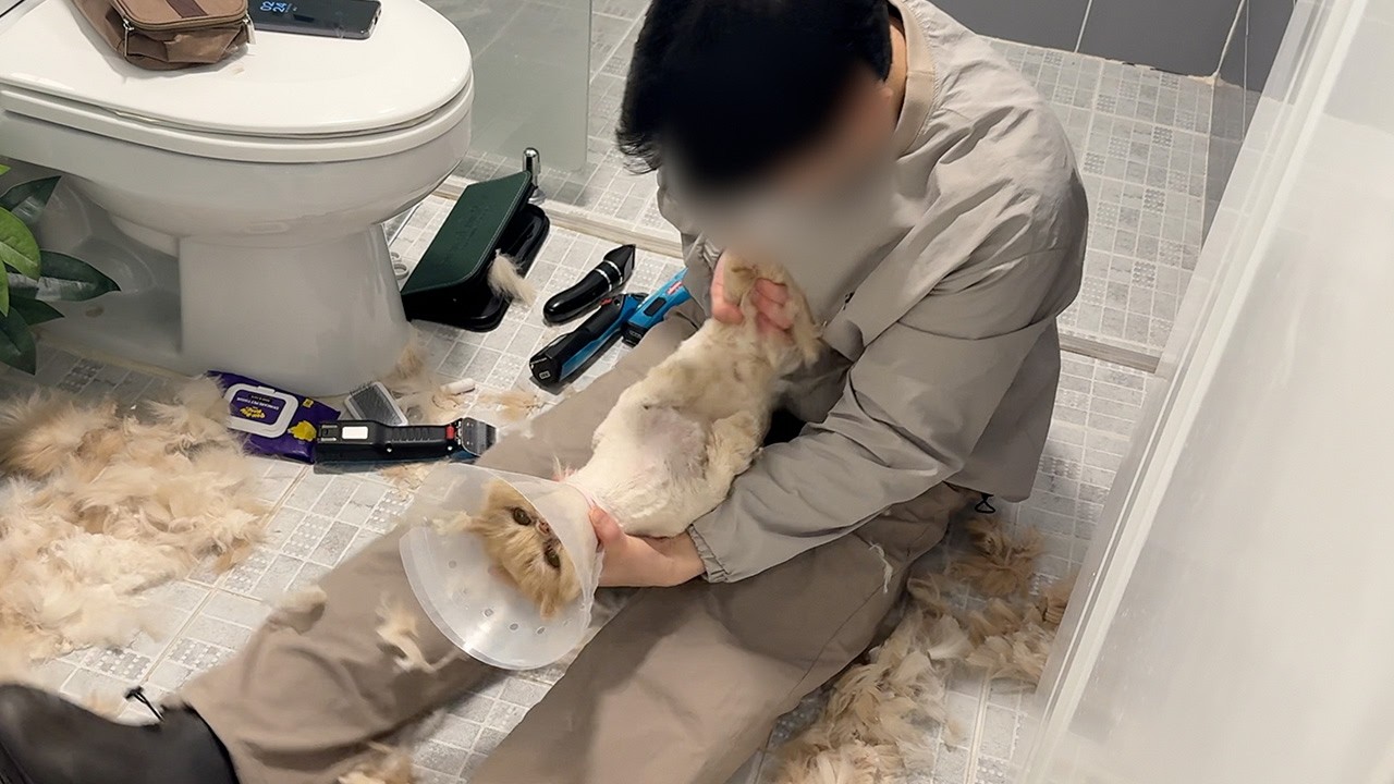요지의 미용날... 오늘 따라 몸상태가 이상했어요