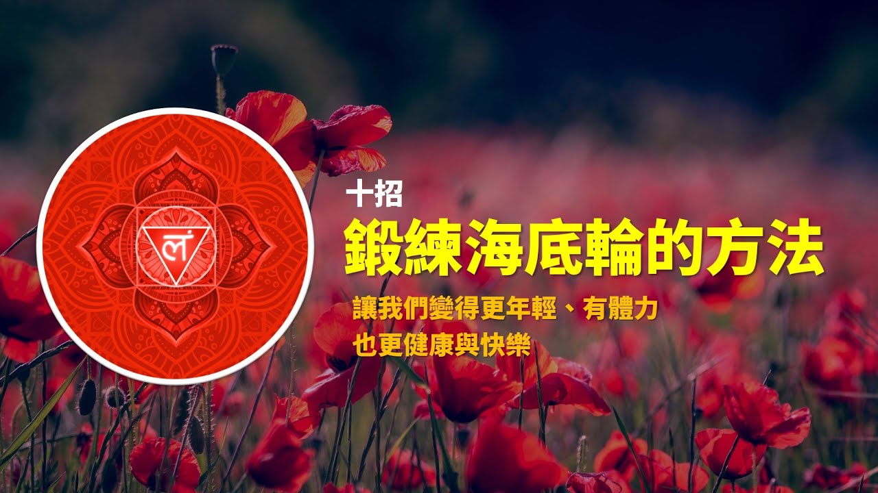 十招鍛鍊海底輪的方法【讓我們變得更年輕、有體力，也更健康與快樂】