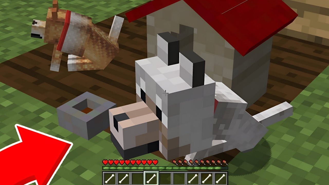 ԱՆՑԿԱՑՐԵՑԻ 24 ԺԱՄ ԲՈԲԻԻ ՀԵՏ!? Arm Zone Minecraft Hayeren