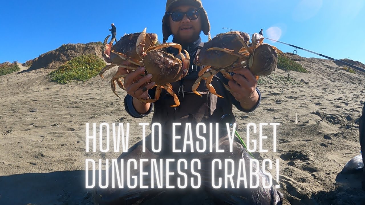 So much Dungeness Crabs at this spot everyone is getting them!!! 2022
