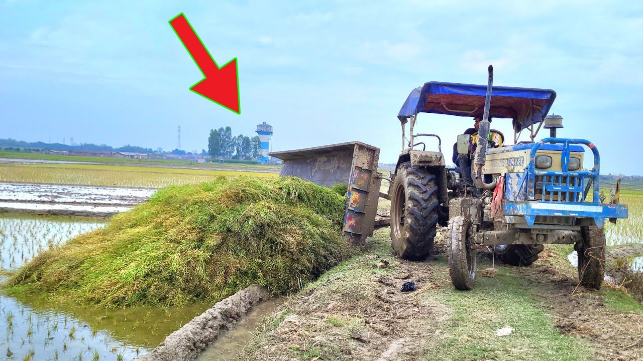 Swaraj 744 Fe Tractor The Trolley Overturned | Swaraj Tractor Stuck in Mud
