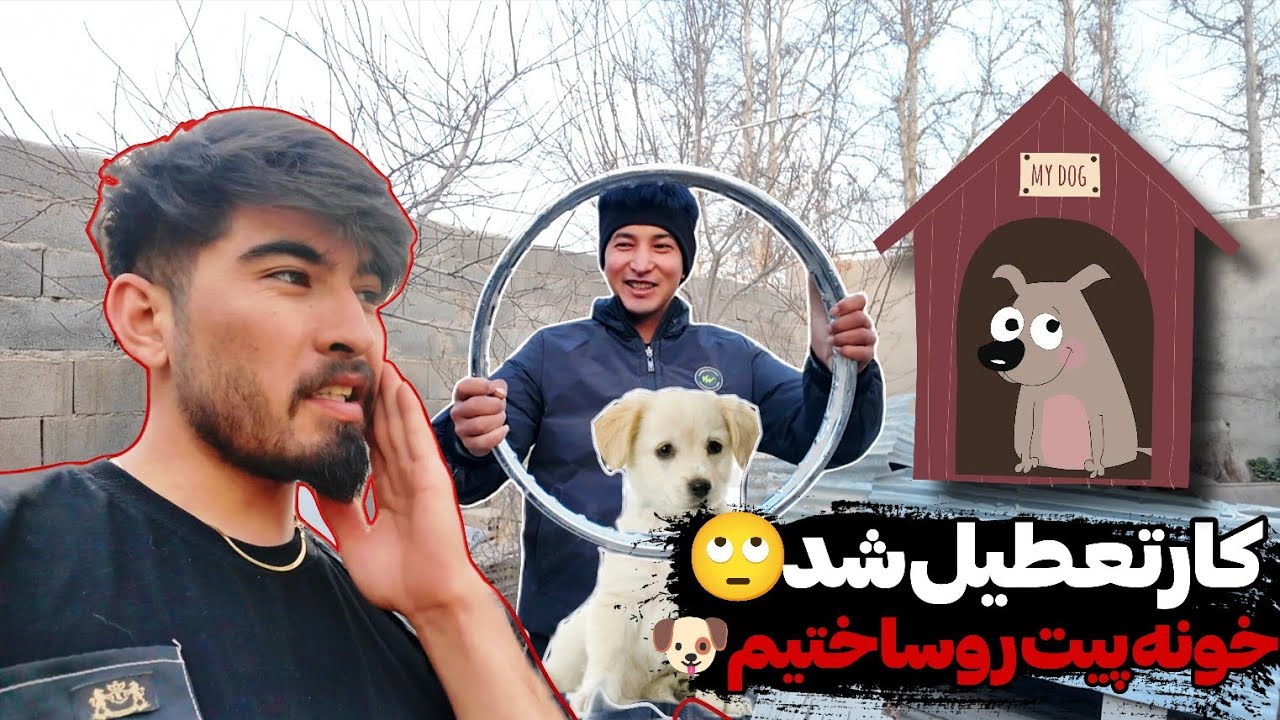 باد شدید کارو تعطیل کرد | ساخت خونه برای پیت 🐶