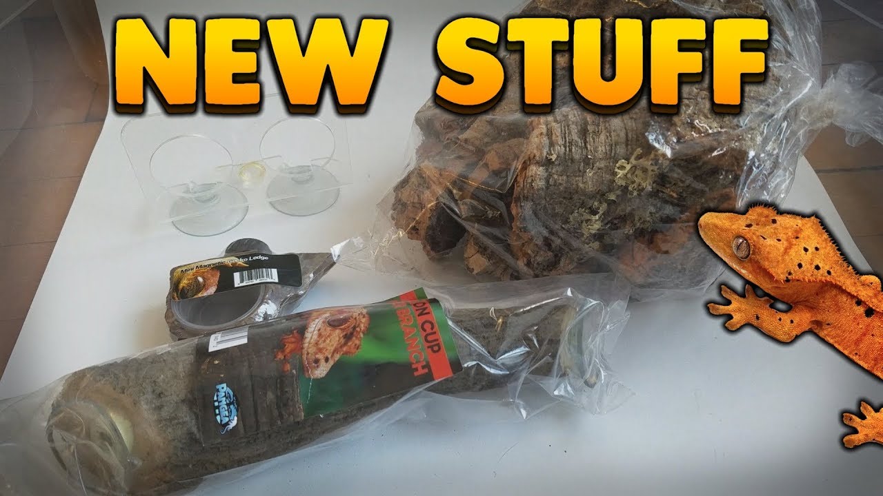 Unboxing Tons Of New Gecko Stuff From Pangea Reptiles!