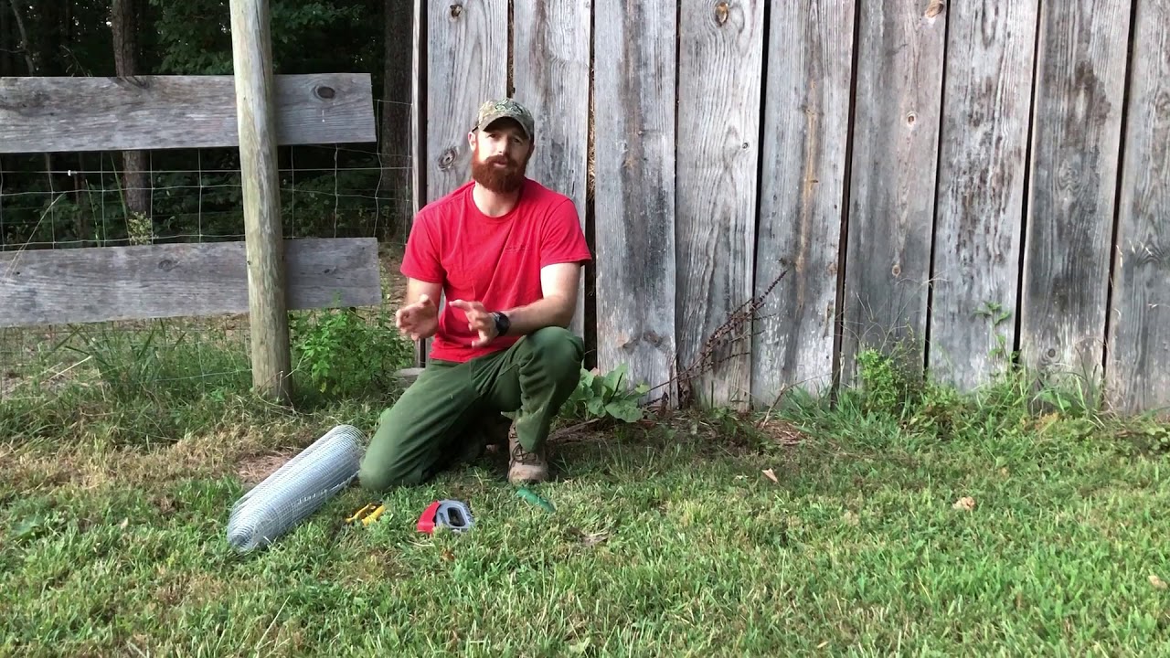 Nuisance Bat problems and solutions