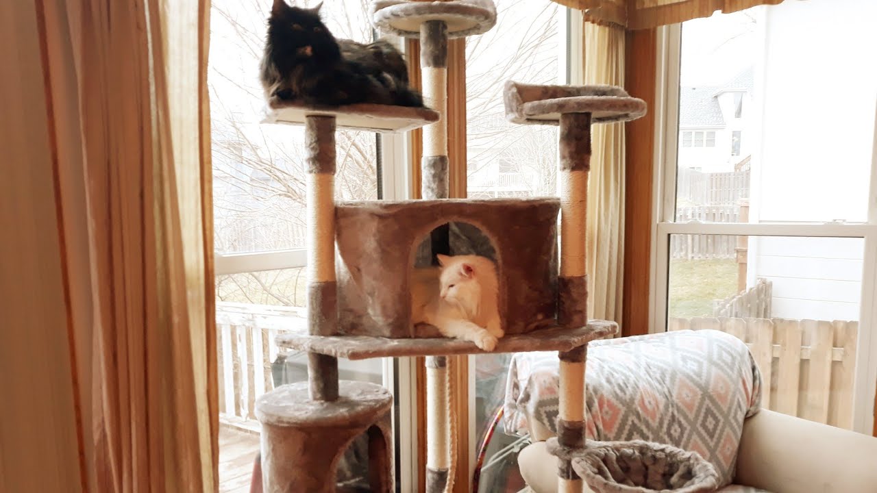 Yahee Tech Cat Tree Unboxing & Assembly