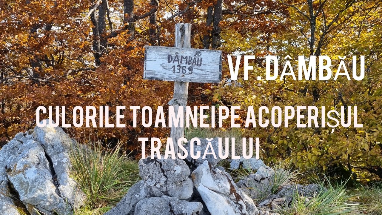 VF. DÂMBĂU: Acoperișul Munților Trascău. Toamnă autentică 