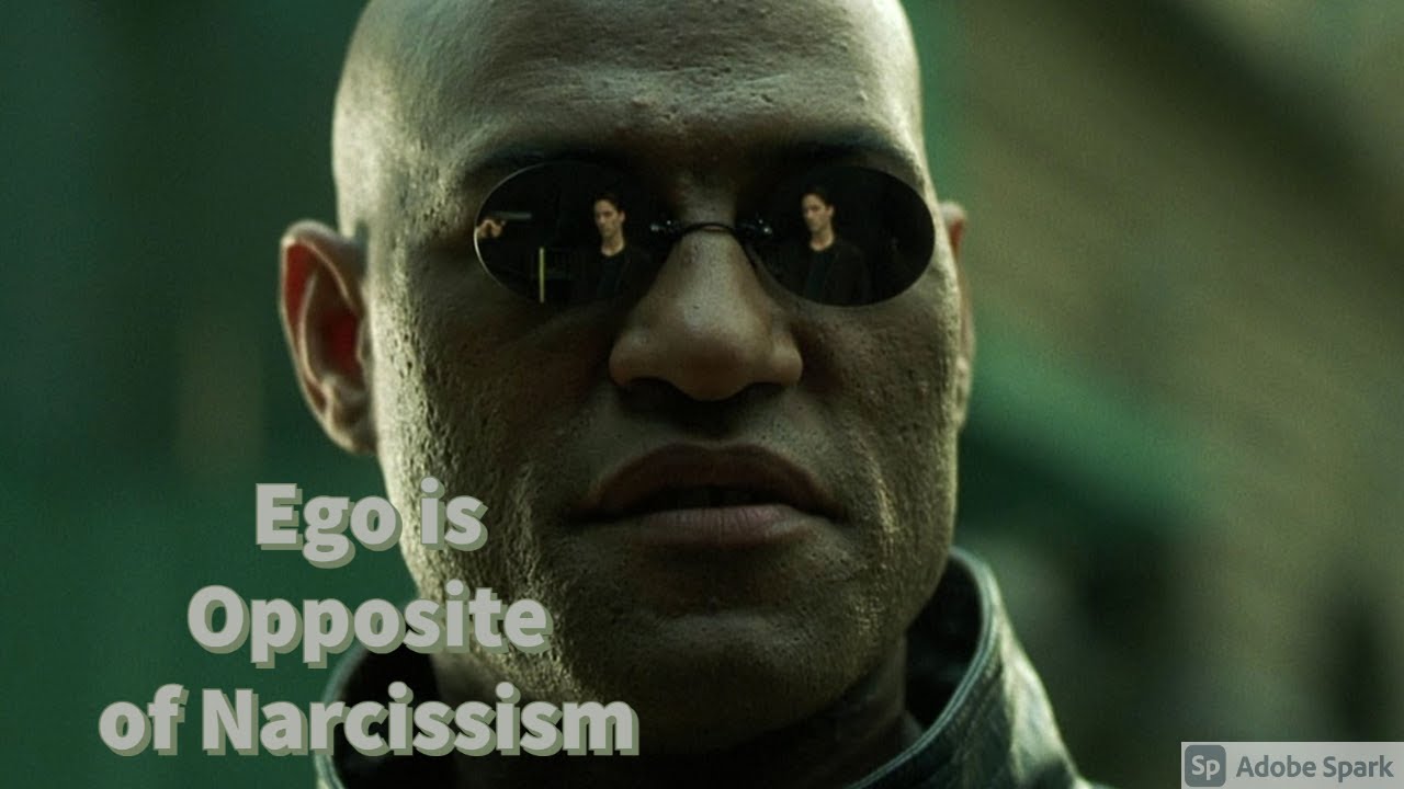Ego is Opposite of Narcissism: Ego Functions
