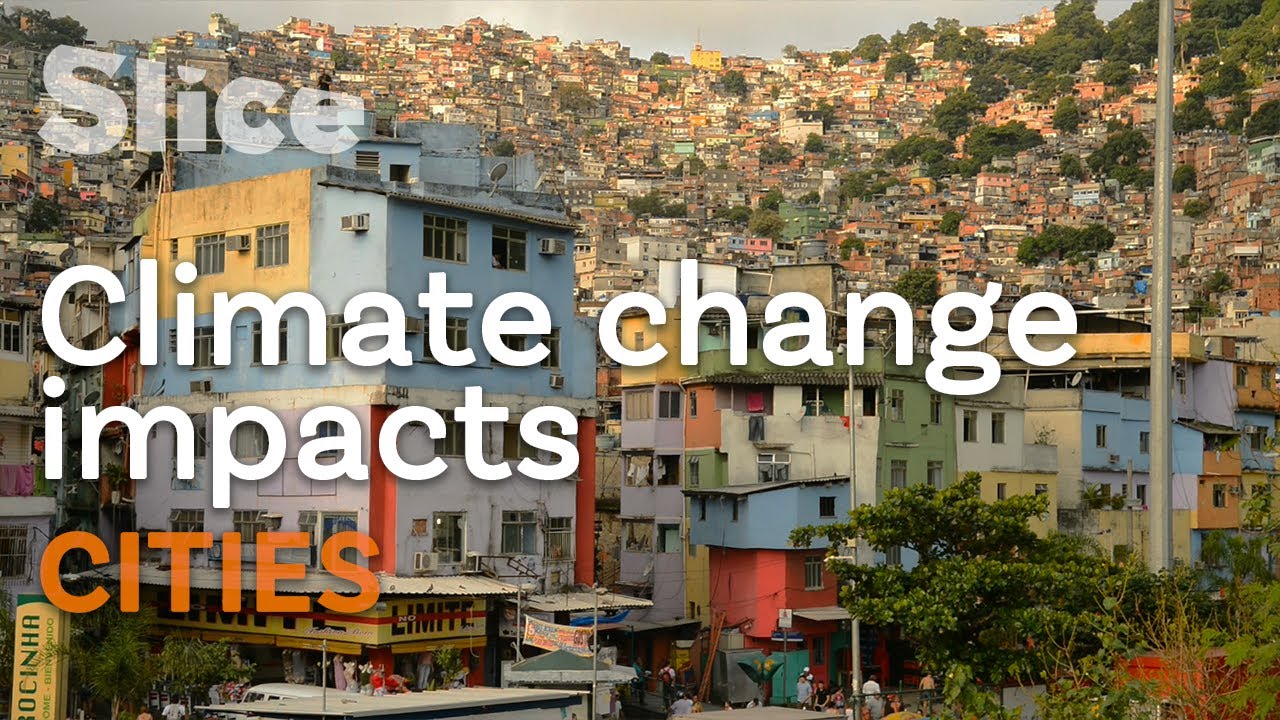 Ecological crisis in Rio de Janeiro | SLICE