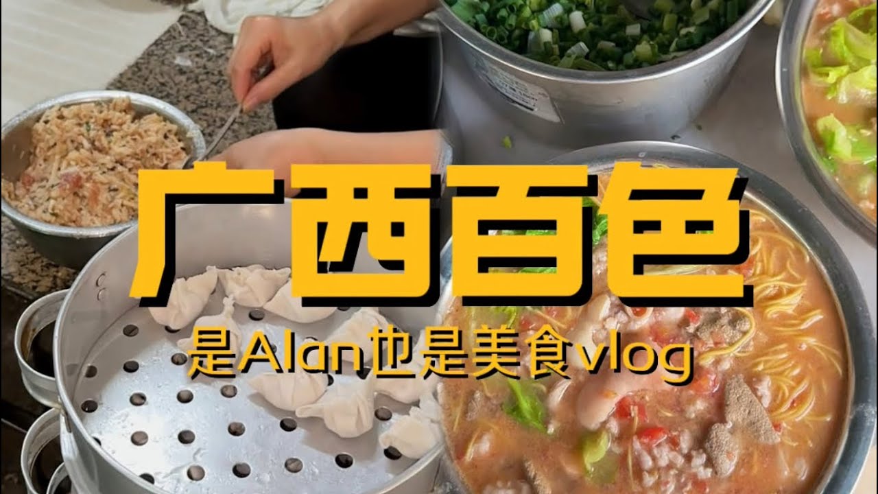 广西百色行之好吃又好玩vlog百色真的是一座极度被忽视的旅游城市 除了有各种好景色以外 这次真的吃了很多流年忘返的美食