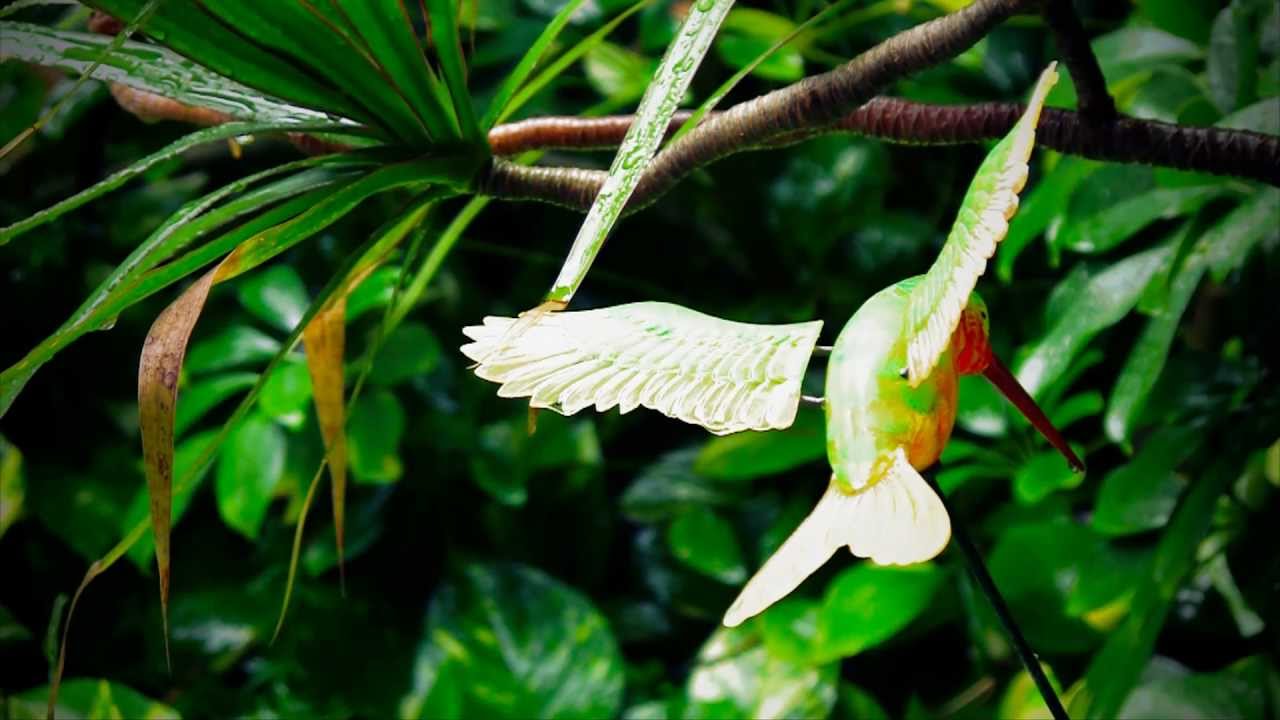 Rejuvenation Garden