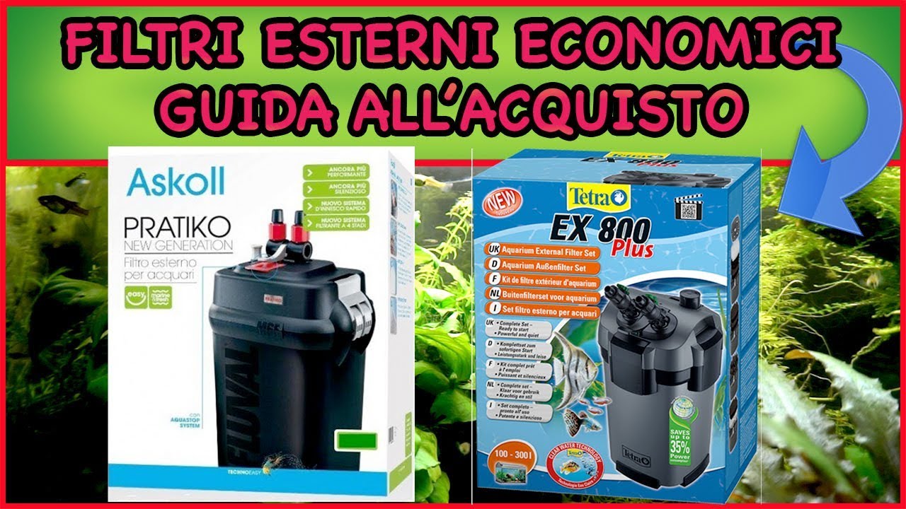 I MIGLIORI FILTRI ESTERNI ECONOMICI - GUIDA ALL'ACQUISTO