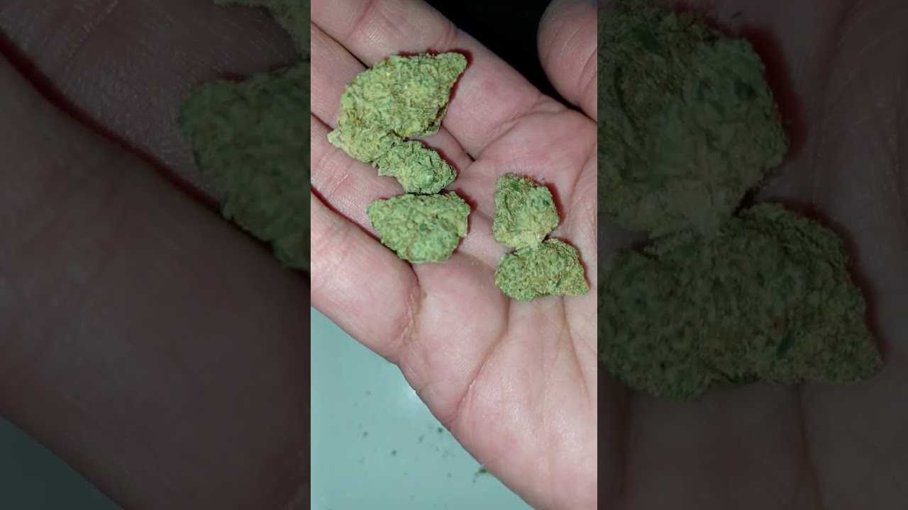 Flow Gardens, Grapefruit, 2nd place Emerald Cup winner 2022 (is it good?)