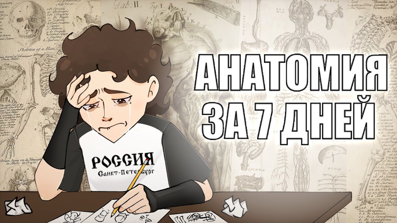 Я учила анатомию 7 дней (и убедилась в своей мизантропии)