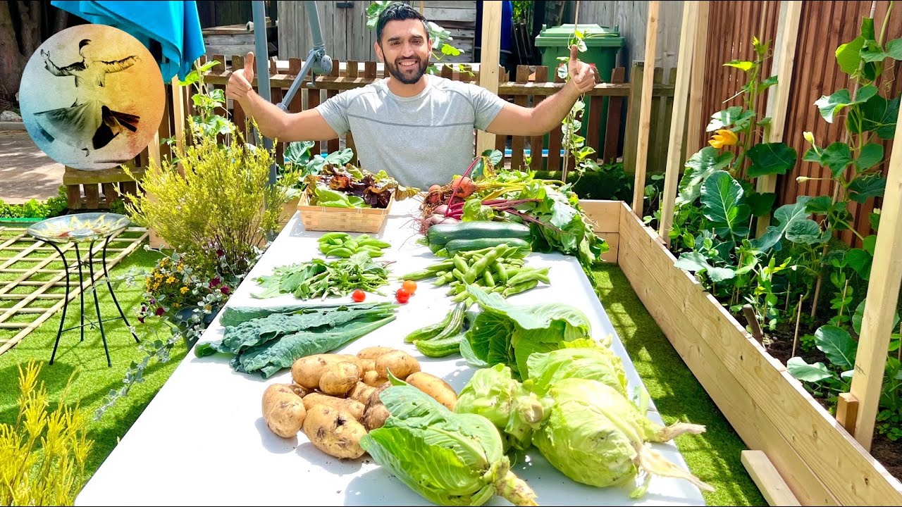 Harvesting Vegetables in Our garden July (2022) | Malang Log Official