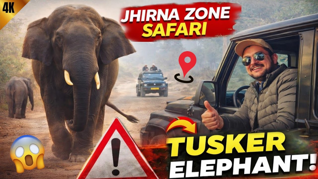 Road Par Aaya 😱 Giant TUSKER Elephant 🐘 | Jhirna Zone Safari 