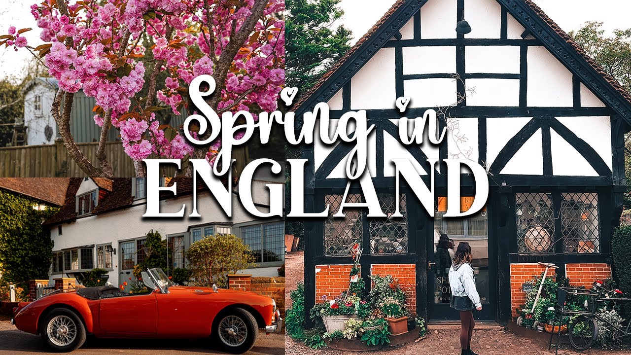 Relaxing Day In The English Countryside | Nature Walk In Surrey Hills
