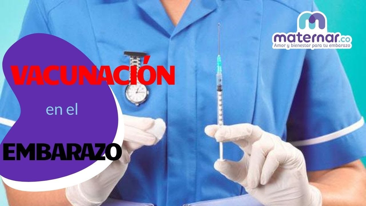 Vacunación en el embarazo | Maternar.co