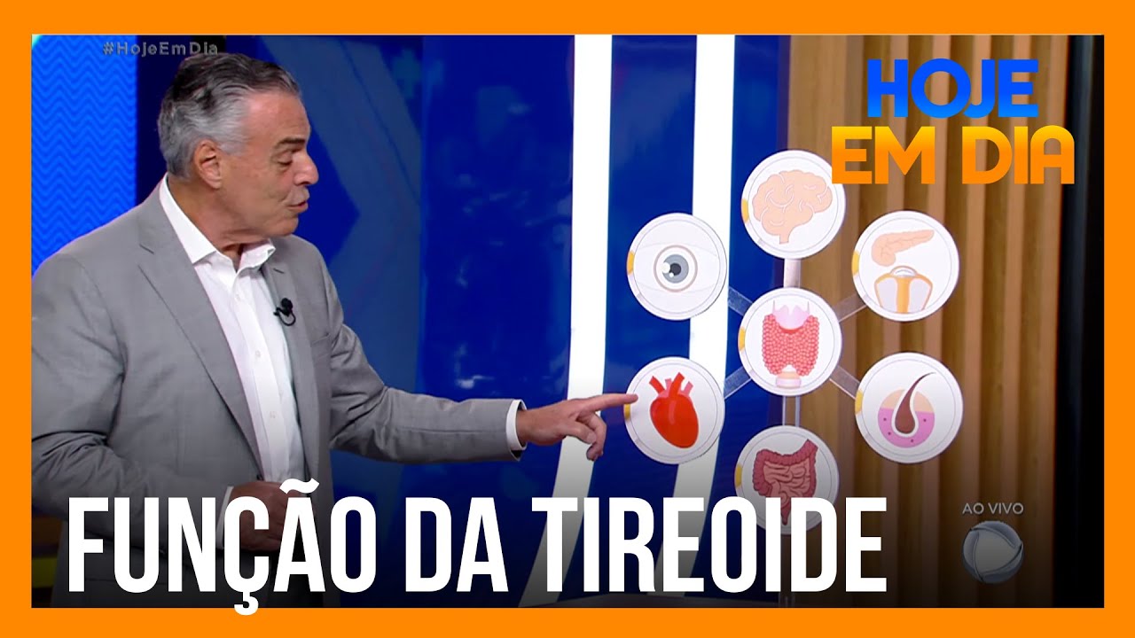 Conhe&ccedil;a as fun&ccedil;&otilde;es da tireoide em nosso corpo
