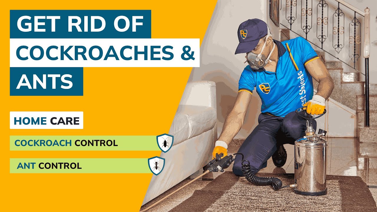 Summer Pests You Need to Watch Out For! 🦠 | Keep Your Home Pest-Free