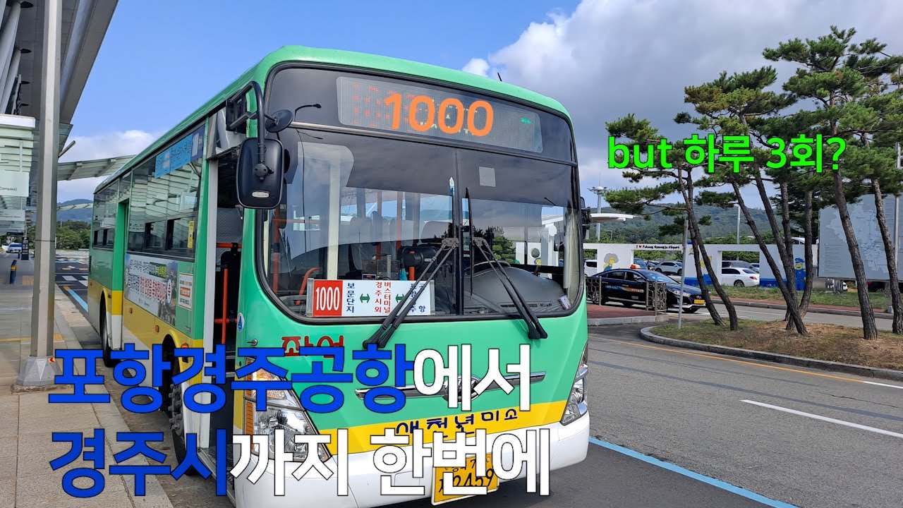 포항경주공항에서 경주시내까지 한번에/ 경주버스 1000번 탑승기