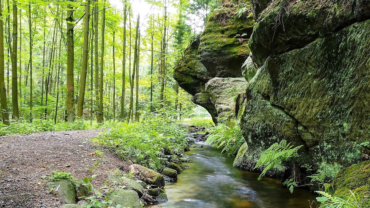 Top rated Tourist Attractions in Děč&iacute;n, Czech Republic | 2020