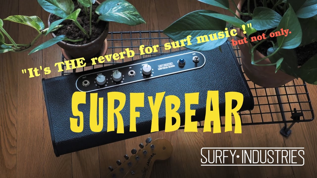My Gear : Surfybear Classic by SURFY INDUSTRIES (Guitar, Bass, Bass VI) (100% Tone)