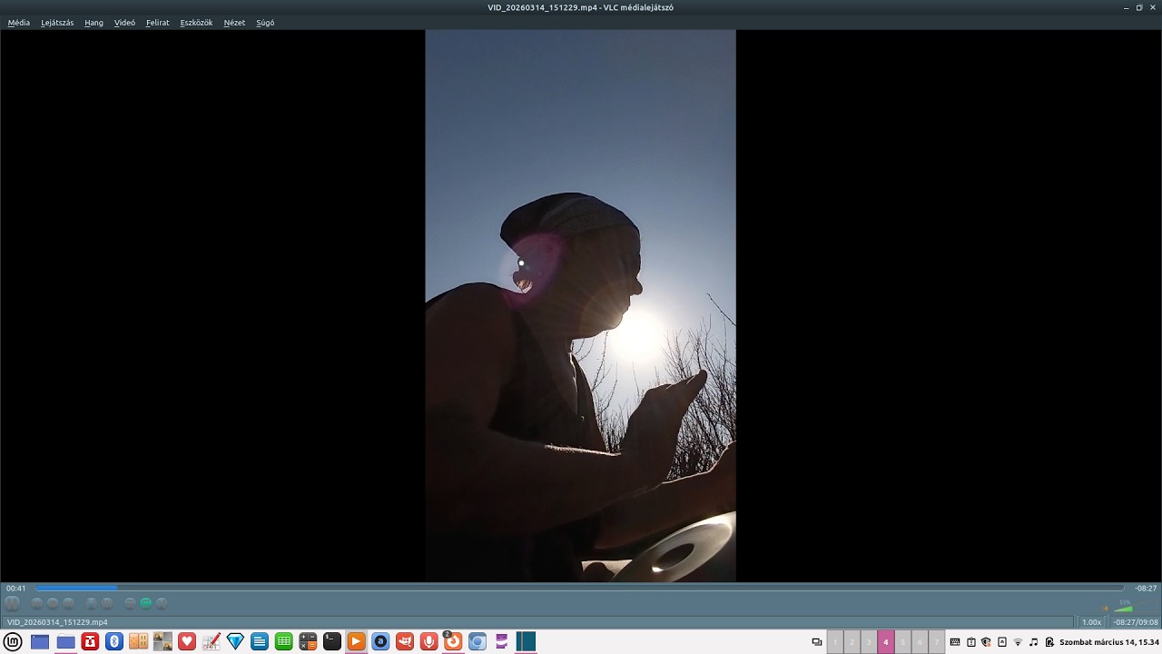 VID 20260314 151229