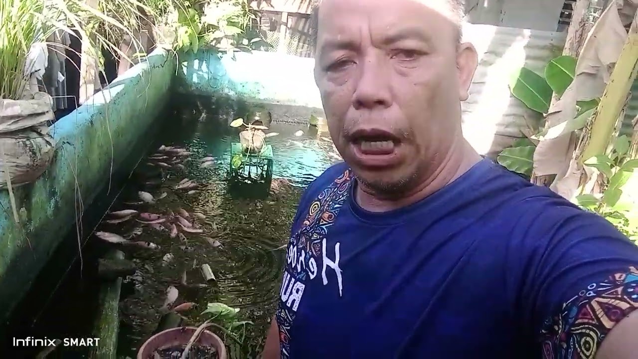 Water management of Red tilapia pond