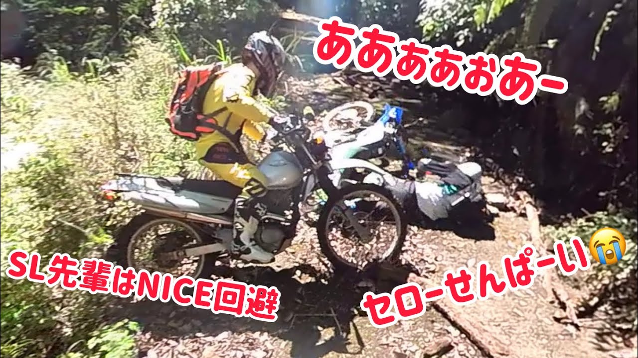 新たな林道を求めて (参) SL230 セロー250 CRF250L 林道ツーリング