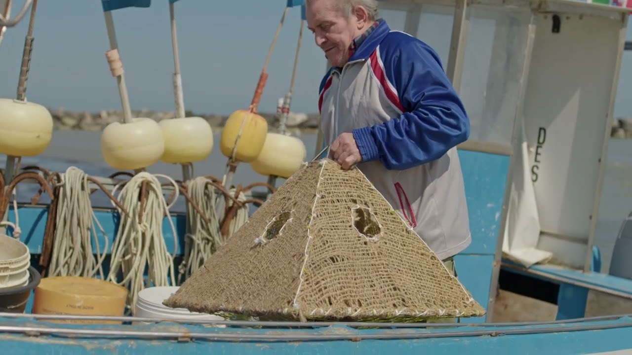 Otto per Mille Storie. Progetto: “Piramidi nel Blu”