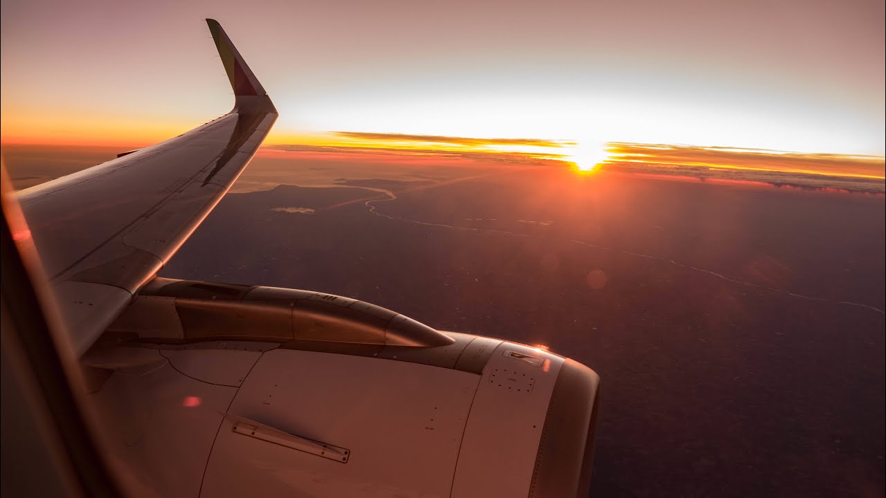 TAP Air Portugal Airbus A321neo | Lisbon to Frankfurt | Full Flight