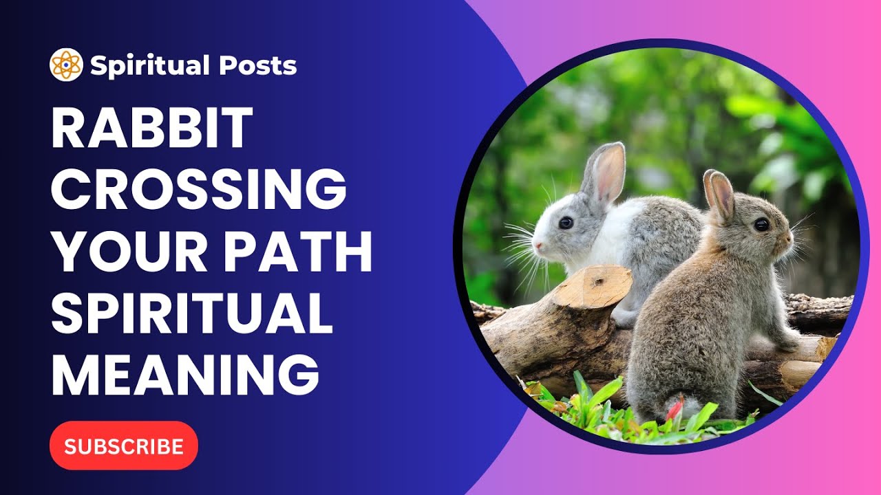 Rabbit Crossed Your Path? Shocking Spiritual Meanings Revealed!