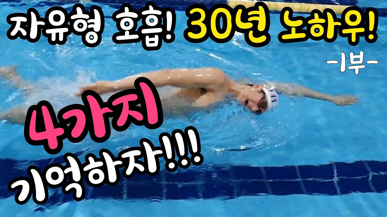 👊자유형의 지름길👊 (다른말 필요없습니다!)
