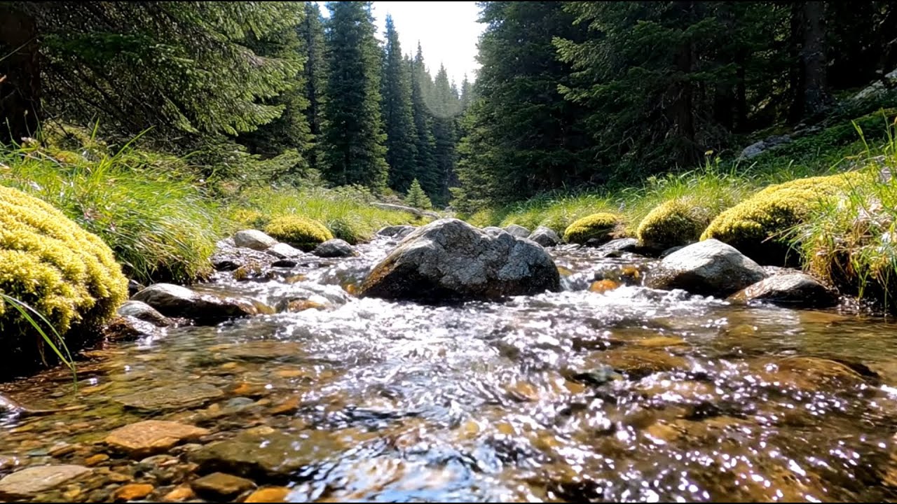Relax & Sleep Instantly with River Sounds | Flowing Water for Deep Rest