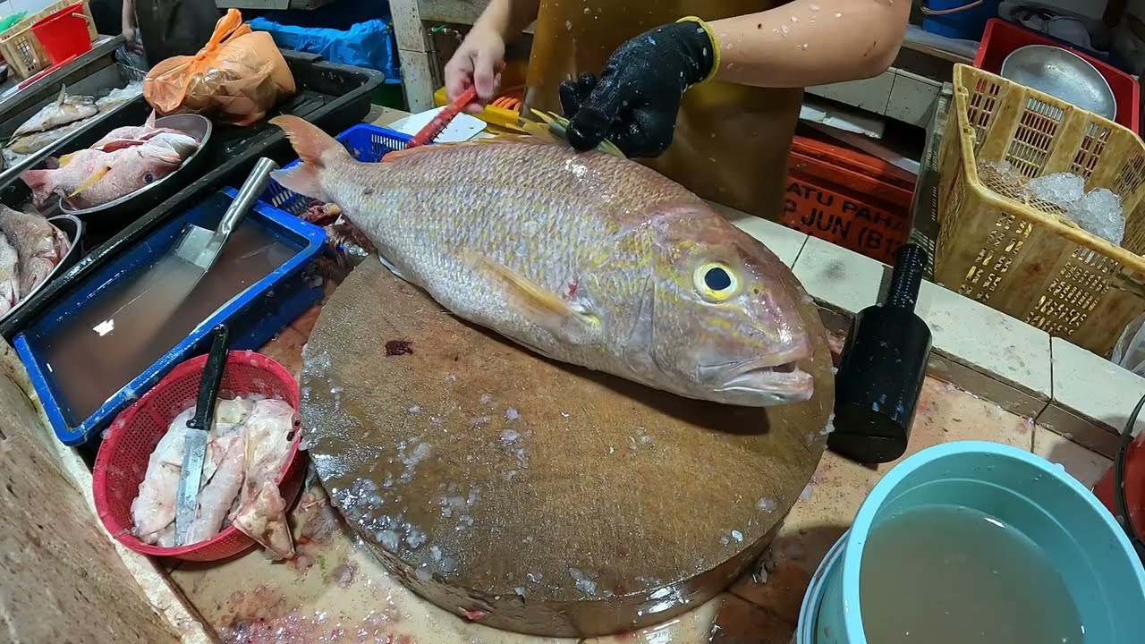 Satisfying Golden Snapper Fish Cutting 🔪🐟 | Seafood Processing Skills