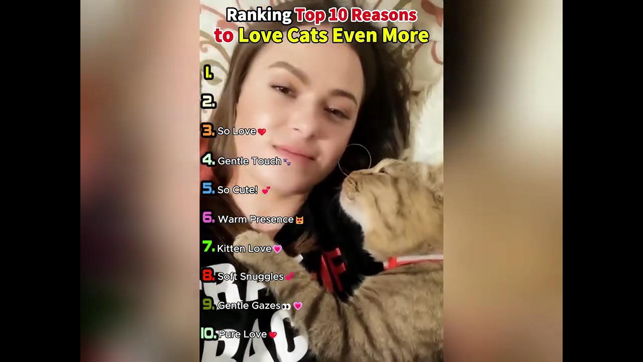 🤣👌👌👌2026 pov Must-Watch Crazy Clips Compilation #humor #fypシ #pov #fyp #foryou 😍😜